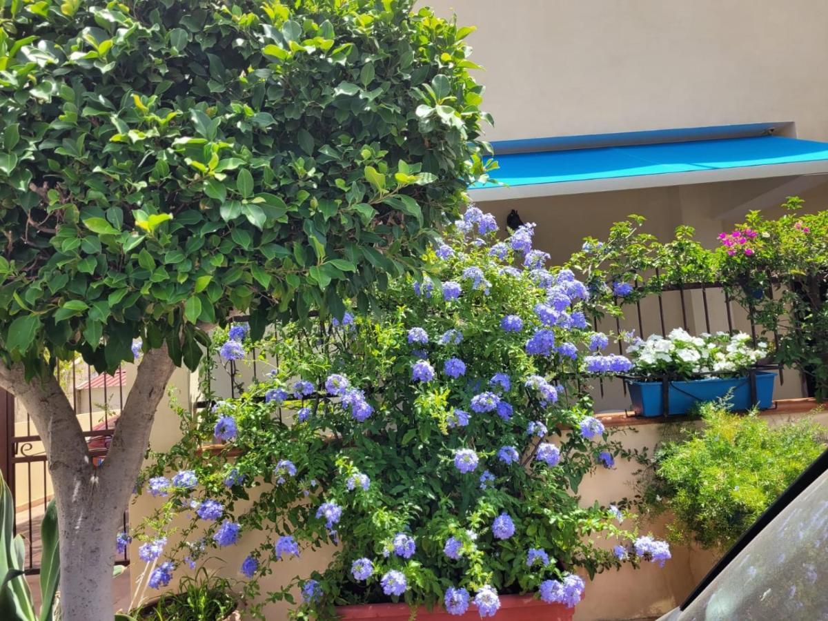 My Little House - Appartamento Con Patio E Parcheggio Privato A 5 Minuti Dalla Spiaggia E Dal Centro โตรเปอา ภายนอก รูปภาพ