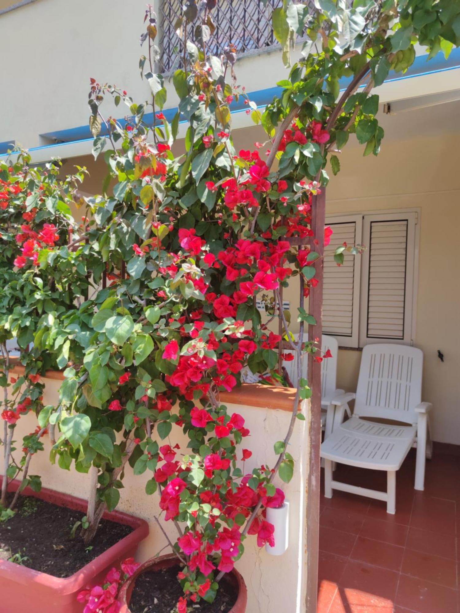 My Little House - Appartamento Con Patio E Parcheggio Privato A 5 Minuti Dalla Spiaggia E Dal Centro โตรเปอา ภายนอก รูปภาพ