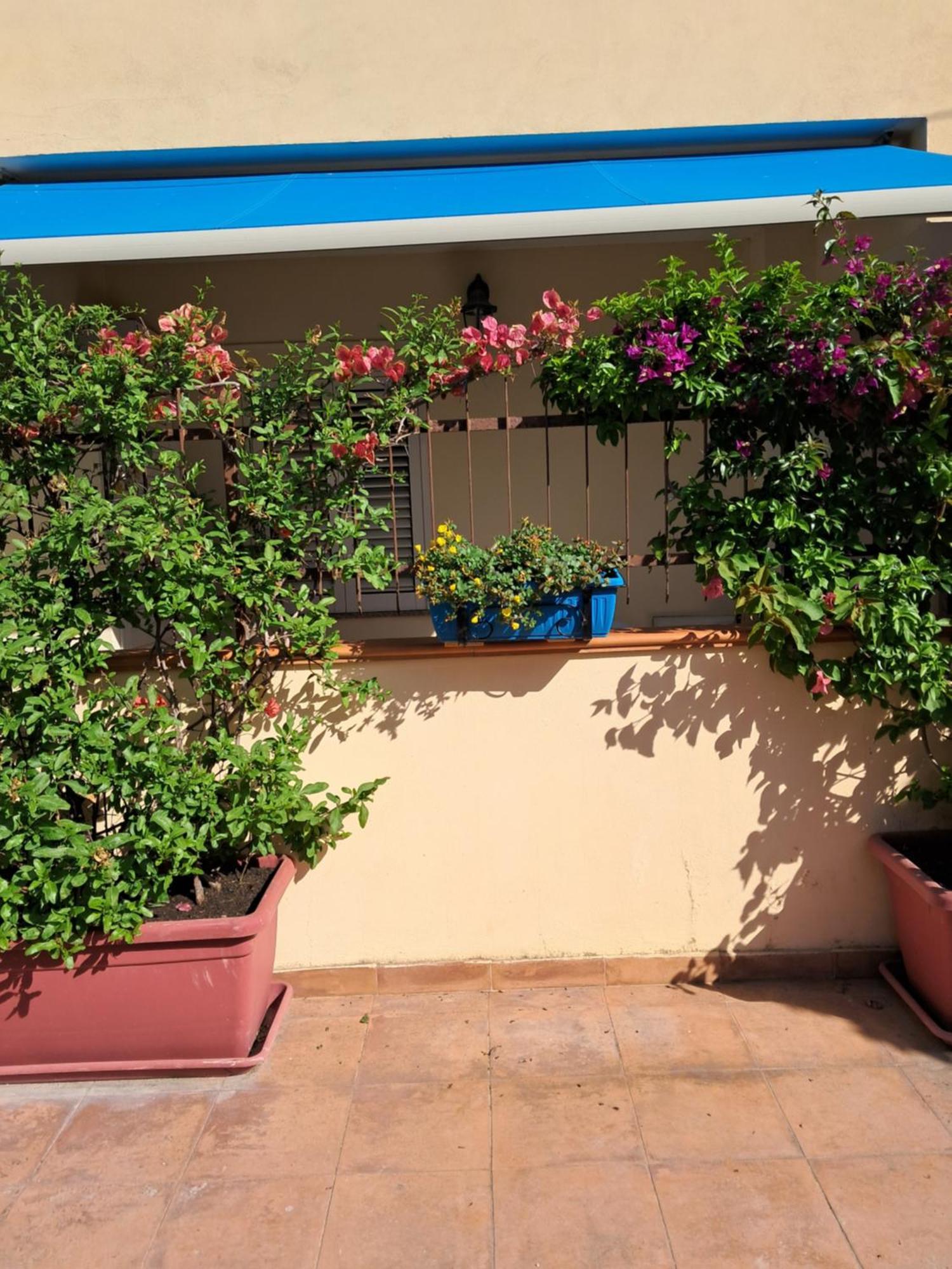 My Little House - Appartamento Con Patio E Parcheggio Privato A 5 Minuti Dalla Spiaggia E Dal Centro โตรเปอา ภายนอก รูปภาพ